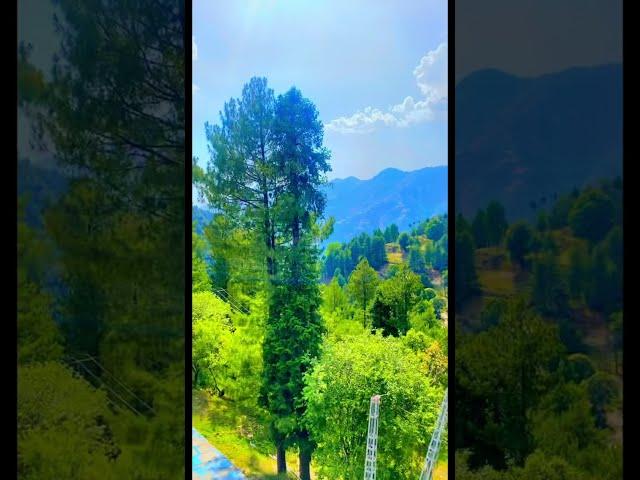 Nathia Gali Tour I UZ Studio