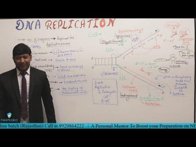 NEET Crack Course | Biology - DNA REPLICATION | Cellsius Institute