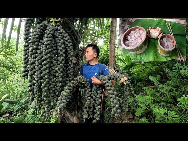 Dishes from wild coconut fruit, bushcraft shelter building, msyang survival, mah survival