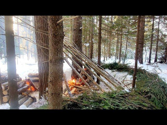 Building Primitive Shelter In Winter Forest, Outdoor Cooking, Survival Skills, Nodya Campfire