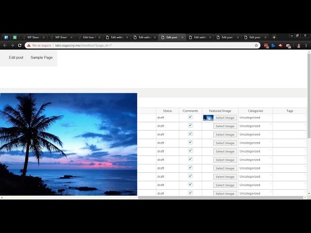 Simple Frontend Editor for WordPress - Free WordPress Plugin Demo