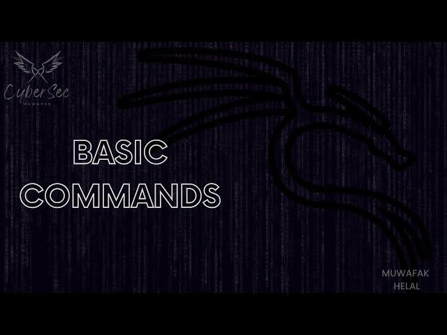 8 - Basic commands (wc-grep-less-more) - Linux course in Arabic