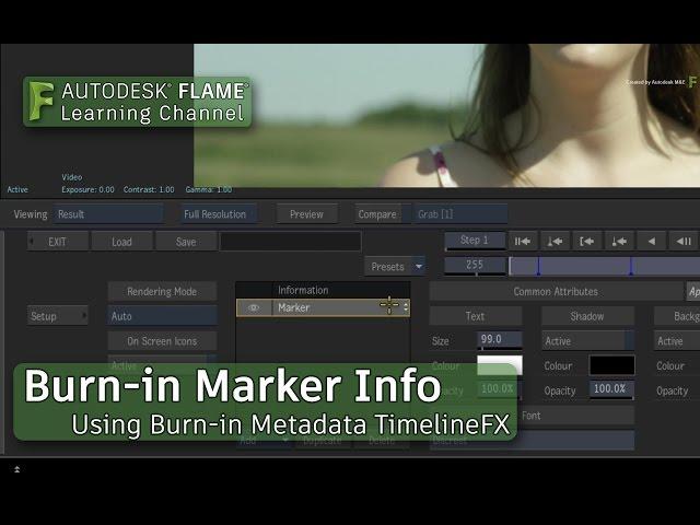 Burn-in Marker Info - Flame 2018.1 Update