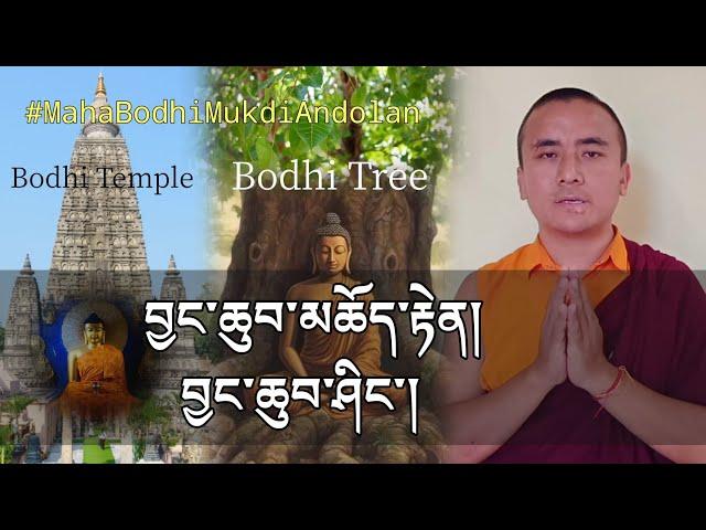 བྱང་ཆུབ་མཆོད་རྟེན། བྱུང་ཆུབ་ཤིང་། Mahabodhi Temple, Bodhitree