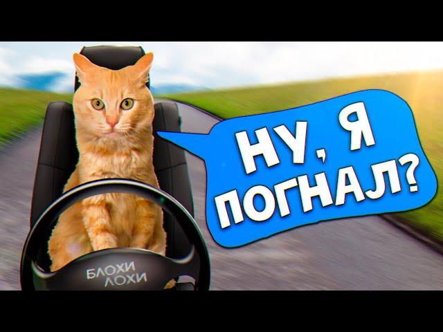 Спасение рыжего котенка. Котенок уезжает домой? / SANI vlog