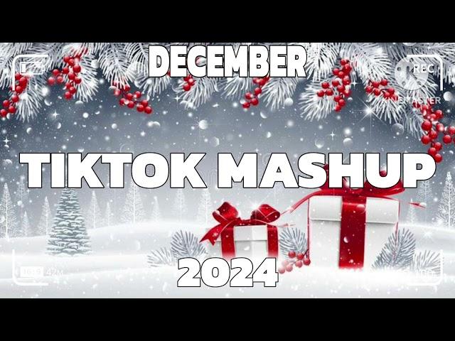 Tiktok Mashup December  2024 (Not Clean)