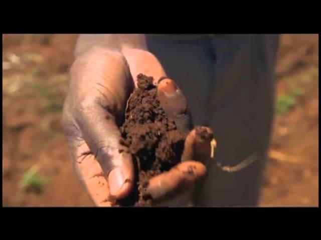 Sustainable Soil Management by Anne-Marie Steyn