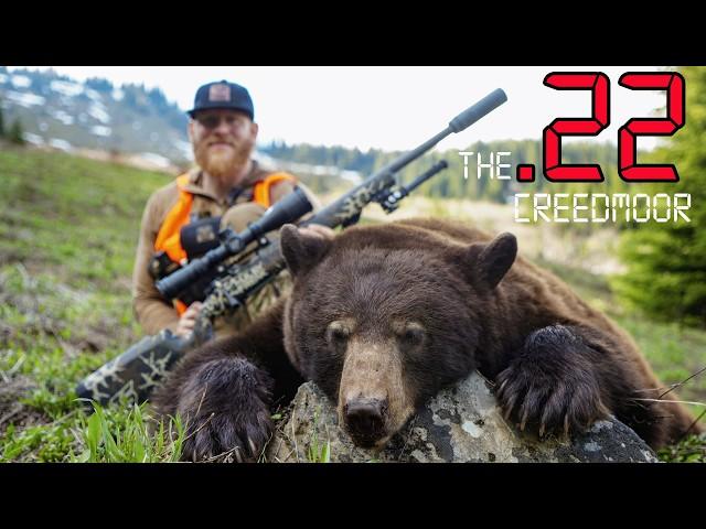 Bear Hunting with a 22 CREEDMOOR (GIVEAWAY) | 4K Film