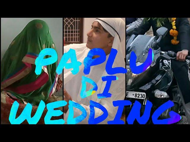 Ghr Ghr Ki Khani - 2|| Paplu D Wedding || The crazy Aligz || TCA