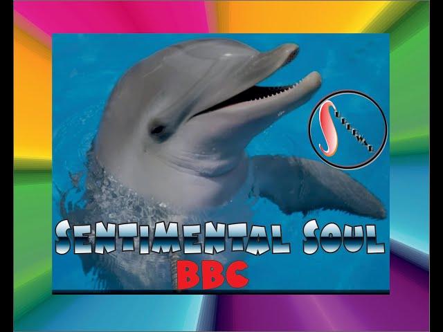 SENTIMENTAL SOUL, BBC, NEW VERSION