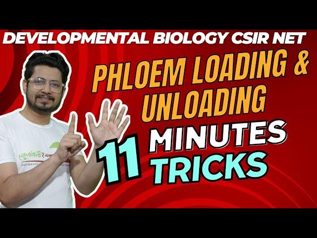 Phloem loading and unloading in plants for csir net | Tricks to remember solute transport in plants