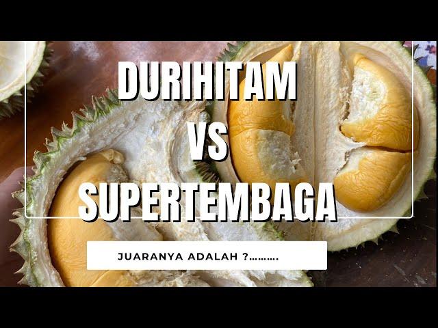 SUPERTEMBAGA VS DURIHITAM