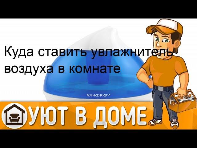 Куда ставить увлажнитель воздуха в комнате