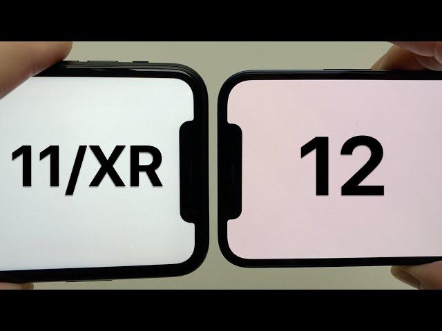 iPhone 12 & 11/XR Notch Size Comparison +Bezel