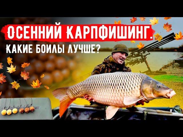 Осенний Карпфишинг. Какой боил лучше для ловли карпа в холодной воде?