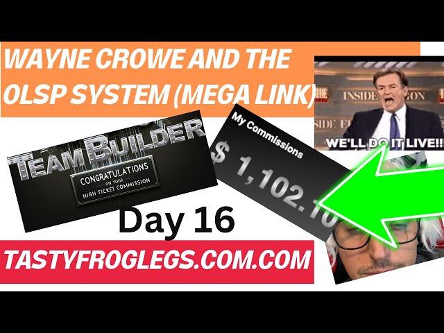 OLSP System Review - Affiliate Marketing for Beginners (Day16)