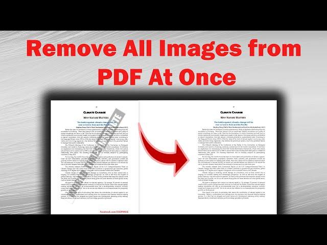 Remove All The Images From A PDF File at Once | Removing Image Watermark