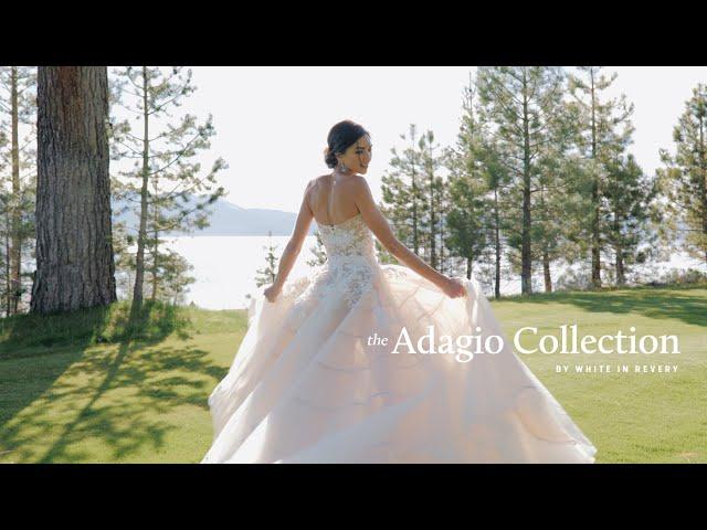 Luxury Fine Art Wedding LUTs – Adagio LUT Collection