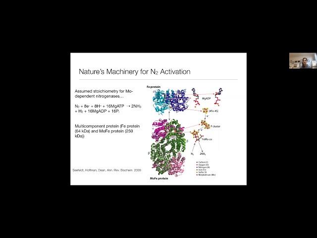 Beyond the E0 state of nitrogenase