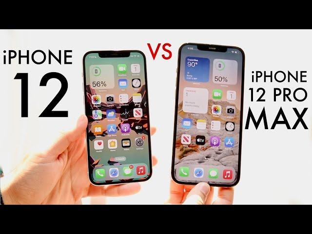 iPhone 12 Vs iPhone 12 Pro Max In 2022! (Comparison) (Review)