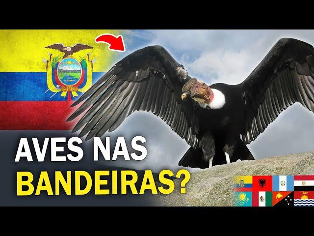 Quais as AVES que estão nas BANDEIRAS dos PAÍSES? Conheça as espécies!