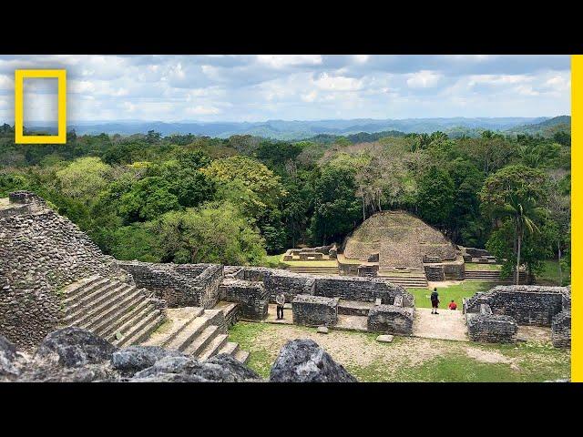 Climb Ancient Temples in Belize's Maya Ruins | National Geographic