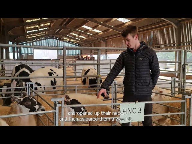 SRUC Barony Campus Murray McHarg Student Agricultural Show