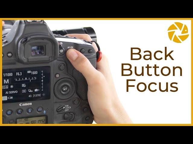 What is BACK BUTTON FOCUS? Why it's a winner for WILDLIFE PHOTOGRAPHY. TUTORIAL.