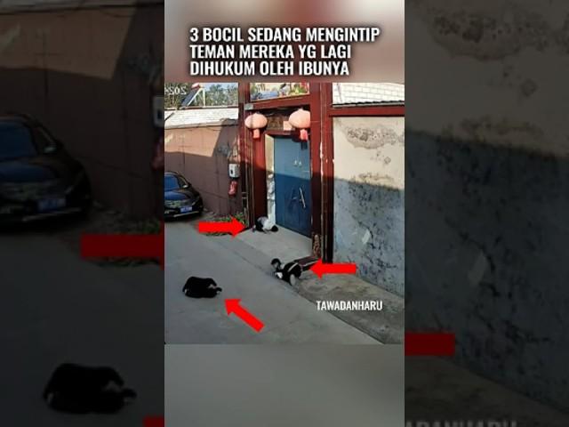 3 Bocil Penasaran dgn Nasib Teman Mereka