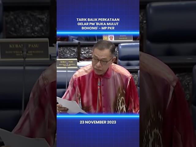 Tarik balik perkataan gelar PM 'buka mulut bohong' - MP PKR