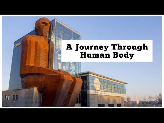 How The Body Works | A Journey Through Human Body at Corpus Museum Netherlands | Agent Knowledge