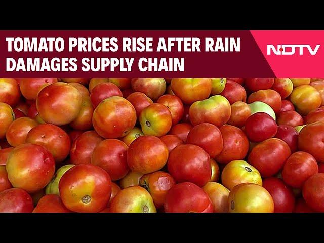 Tomato Price Hike | Tomato Prices Rise After Rain Damages Supply Chain