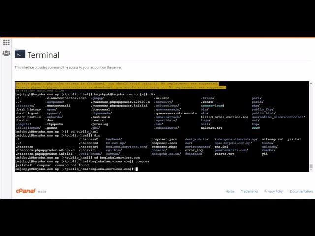 How to update online webiste using composer and terminal in yii2