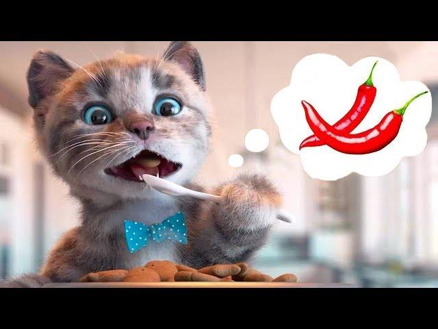 Little Kitten Preschool Adventure Educational Games -Play Fun Cute Kitten Pet Care Learning Gameplay