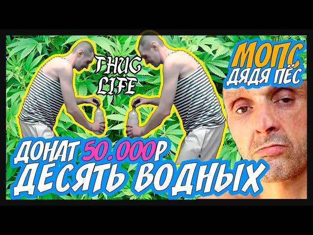 МОПС НАКУРИЛСЯ ВОДНОГО ЗА ДОНАТ В 50000р