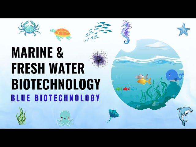 Incredible Marine Life || Blue Biotechnology