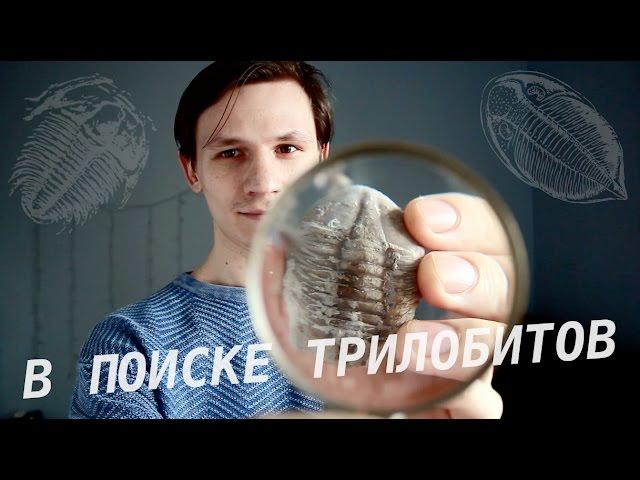 Поиски Трилобитов на реке Волхов/ Searching for Trilobites