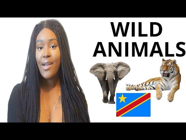 LEARN LINGALA - WILD ANIMALS