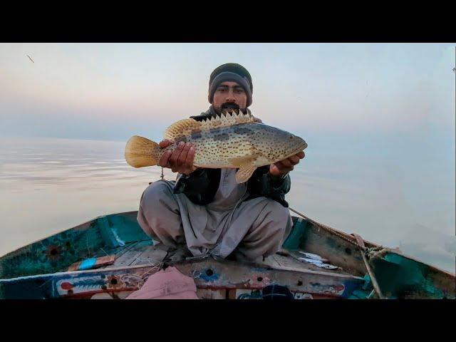 Back To Back Grouper Fish In Nice Weather | Mangroves Bottom Fishing Karachi