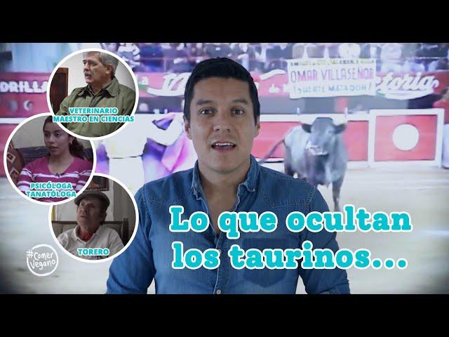 ️ La VERDAD de las CORRIDAS DE TOROS | Un documental más allá de lo que se ve en el ruedo...