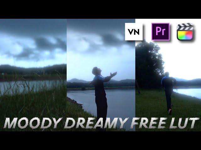 Free Moody Dreamy Luts | VN Luts | VN Editor Luts | Premiere Pro | Colour Grading In Mobile