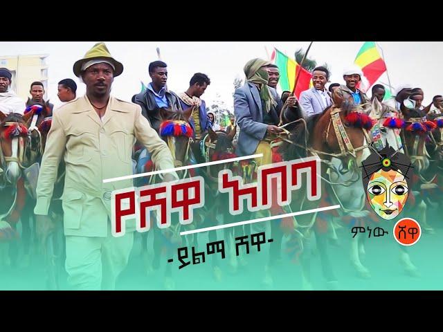 Yilma Shewa (Yeshewa Abeba) ይልማ ሸዋ (የሽዋ አበባ) - New Ethiopian Music 2020(Official Video)