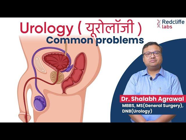  Who Is A Urologist And What Do Urologists Do? What Diseases Do Urologists Treat? When to Consult