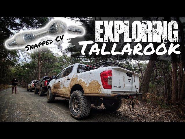 NP300'S & V8 Patrols Getting Muddy at Tallarook State Forest #TRACKSESSIONS