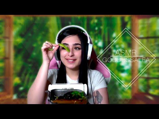 Comiendo EDAMAMES  | ASMR DE COMIDA | GODDESSALFA