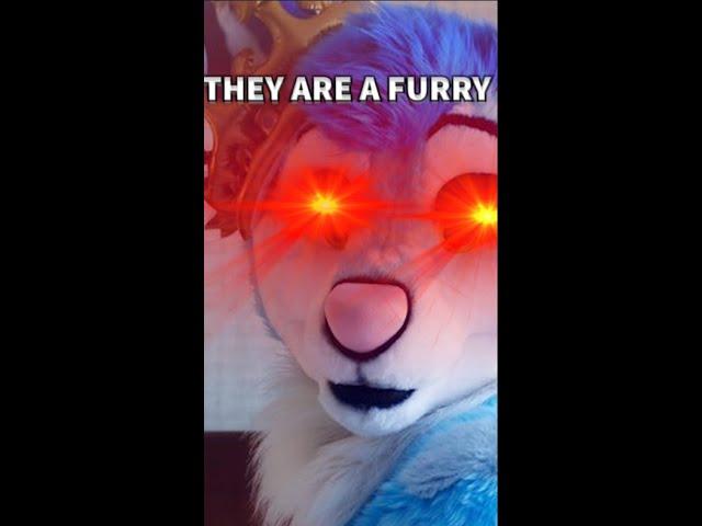 Why You Should Never Trust a Minecraft Furry