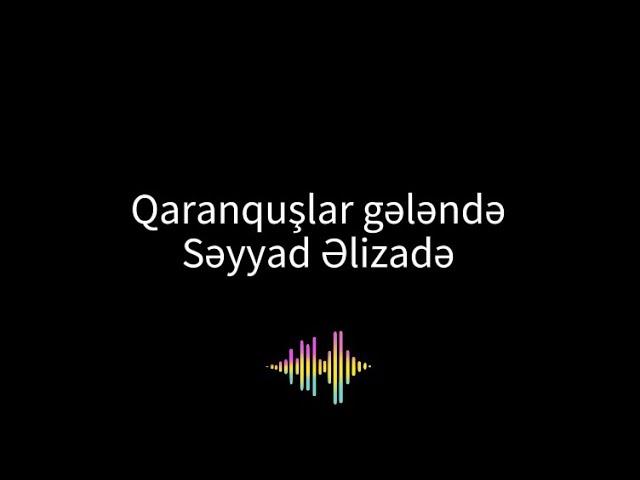 Qaranquslar gelende karaoke - Seyyad Elizade - Azerbaijani karaoke