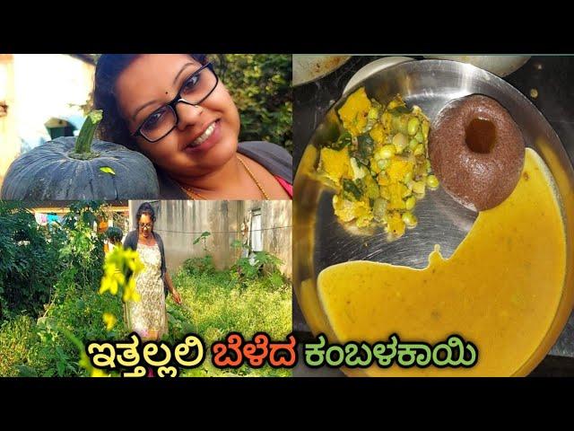 ಅವರೇಕಾಯಿ ಮತ್ತು ಕುಂಬಳಕಾಯಿ ಬಸ್ಸಾರು/Avarekai bussaru/Avarekai recipe/Avarekai sambar/pumpkin recipe