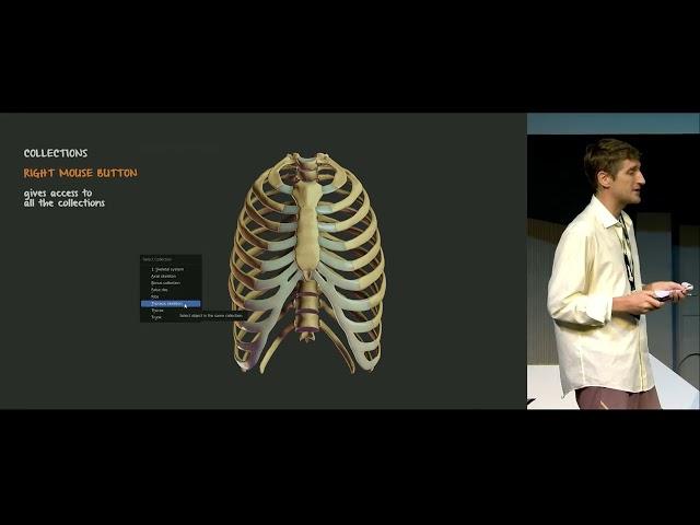 Z-Anatomy: The open source 3D atlas of human anatomy