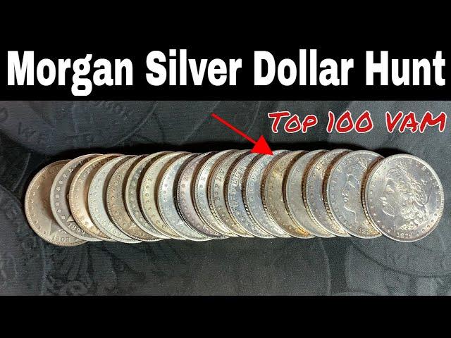 Searching a Roll of Morgan Silver Dollar Coins - VAM Hunting